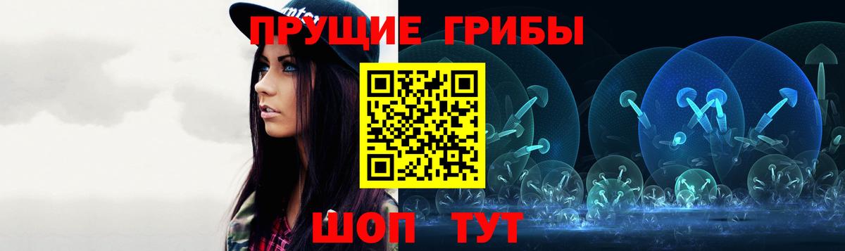 Каменка  Псилоцибиновые грибы MAGIC MUSHROOMS  продажа наркотиков  Вход с VPN 