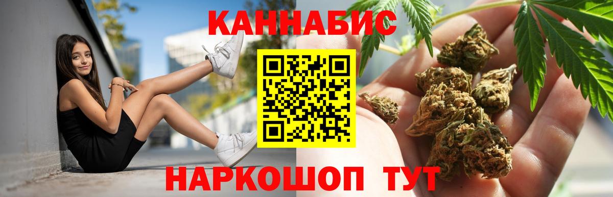 Марихуана сатива Каменка